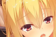 【画像】ゆずソフトのエ〇ゲで抜けるキャラTOP10