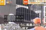 【なぜクマを殺したのか】北海道福島町のクマ駆除に対し北海道外からの抗議電話殺到へ