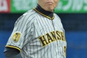 阪神が優勝を逃した理由wwwwwwwwwwwwwww