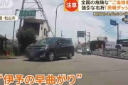 危険なご当地走り…強引な右折「茨城ダッシュ」外国人も驚き「岡山ルール」【詳細版】