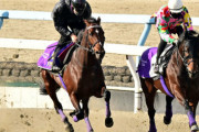 【有馬記念】ドウデュース最終追い切り 併せで1勝クラスに遅れる