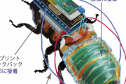 【画像】昆虫「か…身体が勝手に…」電気信号で制御に成功