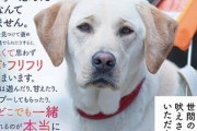 【朗報】人間さん、犬の気持ちを完璧に理解してしまう