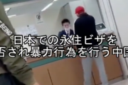 「日本人のバカ野郎！」「なんで無理なんだよ！」＝永住ビザ下りず中国人男性が大騒ぎ―台湾メディア [11/15]  [昆虫図鑑★]