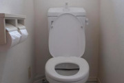 トイレの流し忘れウンコに高確率でペーパーが添えられて無い謎