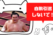 白鵬が今場所も休場かもしれないけど本当に大丈夫・・・？