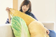 大収穫じゃないか！家の中が野菜に満ち溢れる生活。巨大お野菜クッション
