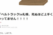 【悲報】プペルを宣伝できる権利を買った女さん、どうにもならずに人生相談を受ける権利を500円で売りに出す