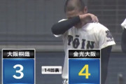 【悲報】大阪大会絶対王者、大阪桐蔭の谷間世代・・・