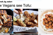 【画像】ヴィーガンさん、たった１枚の画像でヴィーガンの食生活の豊かさを表現してしまう。