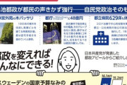 共産党、蓮舫の公約のようなものを勝手に考えてチラシを作ってしまうｗ