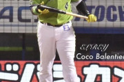 ヤクルト、バンデンハーク獲得！！！