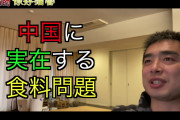 [無料動画]中国に実在する食料問題