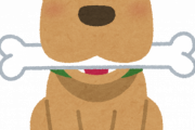 最近の犬って・・・骨かじるイメージ無くなったよなｗｗｗｗｗ