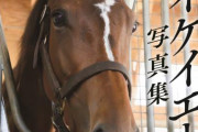【競馬】「メイケイエール写真集」の表紙デザインが完成！！かわいい…