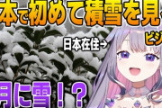 【ホロEN】ビジュー、日本で初めて積もった雪を見て大興奮