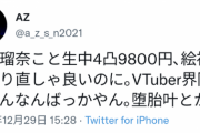 【にじさんじ】あーあ、デマを本気にしちゃったねえ 名誉毀損やぞ