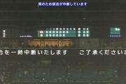 阪神０ー０広島　７回裏開始時、雨の為一時試合中断　甲子園球場