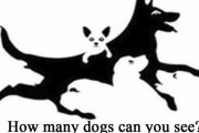 【心理テスト】この絵の中に犬は何匹見えますか？