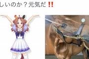 【悲報】ウマ娘信者さん、実馬に『擬人化したキャラ』を見せつけてしまうｗｗｗｗ