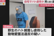 【画像】鳥のマスクを被り鞭で鳥を殺した男、逮捕・・・・・