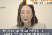 【正論】外食業界「食品消費税ゼロに反対。客離れを招き、飲食店の経営に重大な影響を及ぼす」