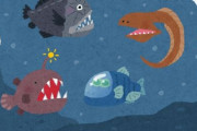 【地球】深海、怖すぎる
