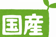 日本好きが教える国産の優れモノ