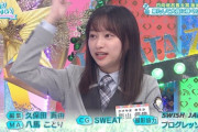 【日向坂46】『ひなあい』次回予告であの名言がノミネートｗｗｗｗｗｗｗ