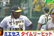【阪神ファン集合】今日の阪神タイガース紅白戦の個人成績を集計した結果ｗｗｗ