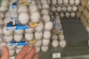 【関税問題】米国産卵の価格急騰に国民激怒「1個1万ウォン！？ふざけるな！」