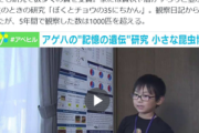 【アゲハの“記憶の遺伝】日本の男児、結構すごい発見をする（※画像あり）
