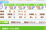 【ウマ娘】アグネスデジタルが芝A・ダートAの適正おばけでワロタ