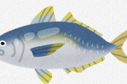 【画像】この魚当てられる人いるかな？