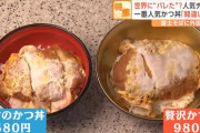 富士そばのカツ丼にとんでもないカツ丼が登場