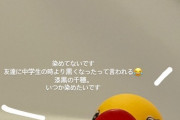 石田千穂「いつか髪を染めたい」