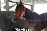 パンサラッサとかいう1800m最強の馬