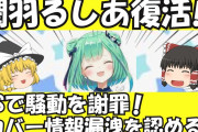 V豚「るしあは愛が欲しいって言ったからスパチャ投げたのに裏切られた！」←これ