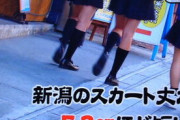 【画像】新潟JK、スカートが短すぎるｗｗｗ