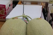 【画像】えっちなメロン売ってたｗｗｗｗｗｗｗｗｗｗｗｗｗ