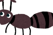 アリ飼ってそろそろ一ヵ月になるから名前がほしいｗｗｗｗｗｗ