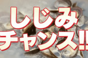 【超絶怒涛】謎のオッサン「しじみチャンス！」ワイ「え！？」