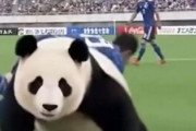 中国人「サッカー日本代表はアジアで今何位くらい？」　中国人「圧倒的に別格」「アジアでの日本は本当に不思議」