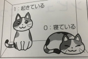 【悲報】日本人さん、「シュレディンガーの猫」で動物愛護に配慮してしまう