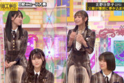 この1枚を見ると改めて乃木坂46レベルが高すぎる…