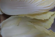 【急募】白菜で飯を食う方法