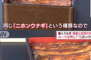 うなぎ屋さん「うなぎは国産も中国産も味は変わらない。どっちも美味しい」