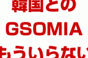 日本政府「もう韓国との情報共有いらない。GSOMIA不要」　終わったな…