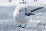 【衝撃】日本の鳥『シマエナガ』白人様にバレる