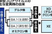 【速報】 オミクロン「XE」　日本上陸